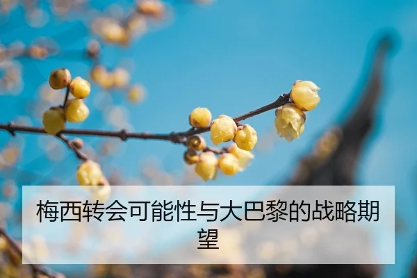mei-xi-zhuan-hui-ke-neng-xing-yu-da-ba-li-de-zhan-lve-qi-wang-2-634.jpg
