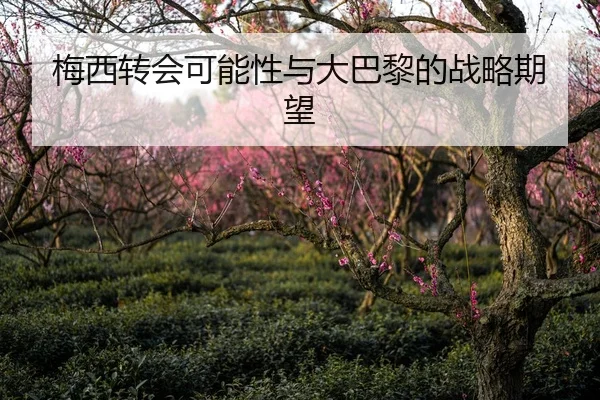 mei-xi-zhuan-hui-ke-neng-xing-yu-da-ba-li-de-zhan-lve-qi-wang-1-311.jpg